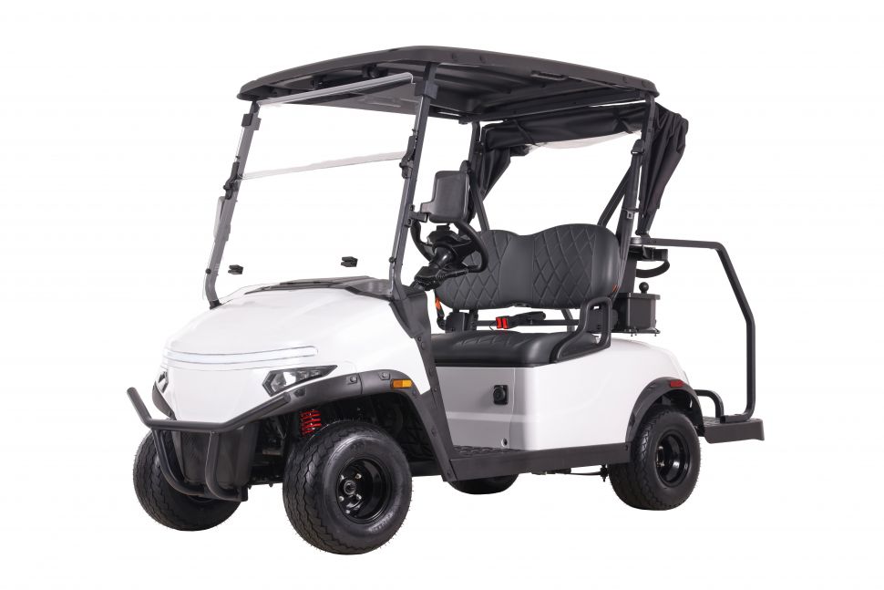 Гольфкар двухместный OMA Electric 2