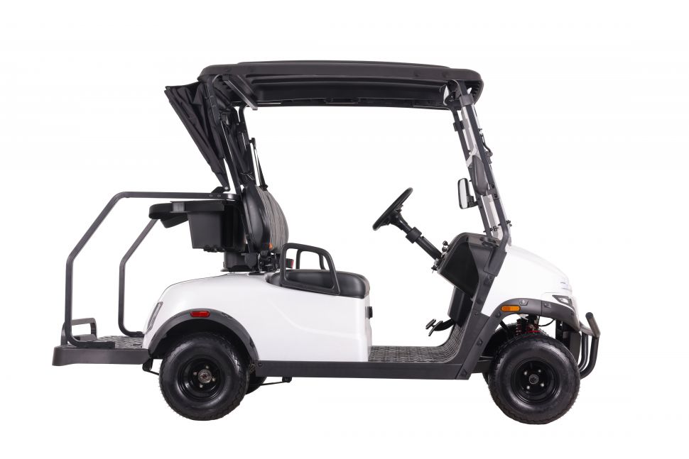 Гольфкар двухместный OMA Electric 2