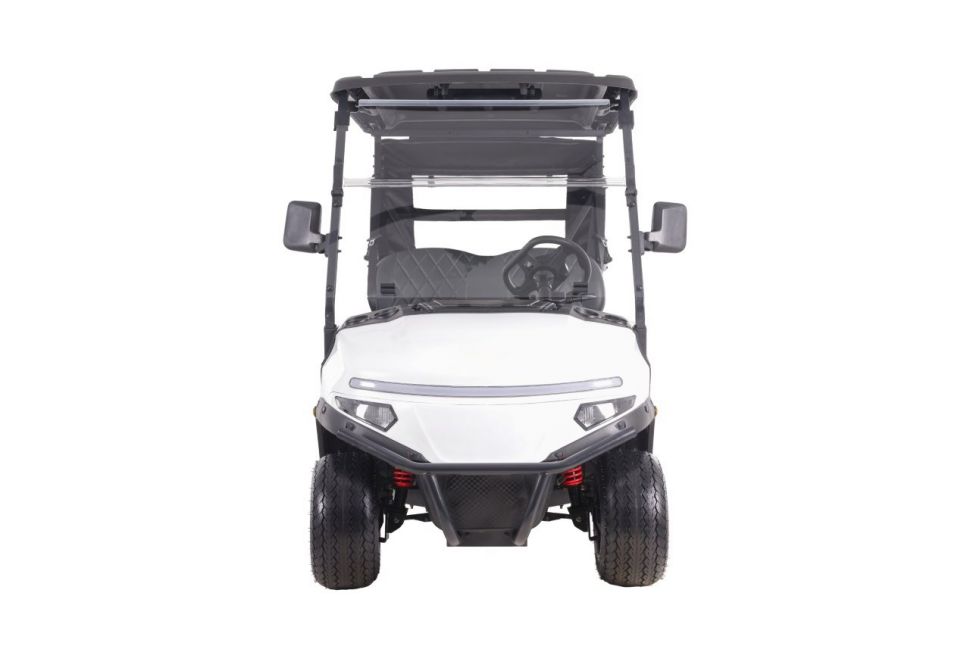 Гольфкар двухместный OMA Electric 2