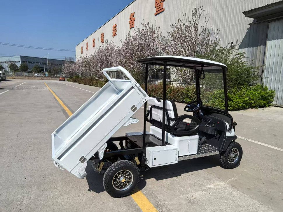 Гольфкар грузовой GreenCamel Сонора A2C New (2+Cargo 60V 2500W)