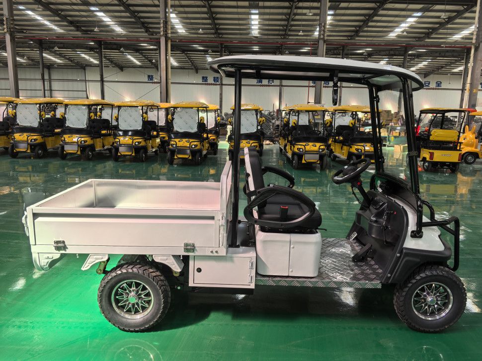 Гольфкар грузовой GreenCamel Сонора A2C New (2+Cargo 60V 2500W)