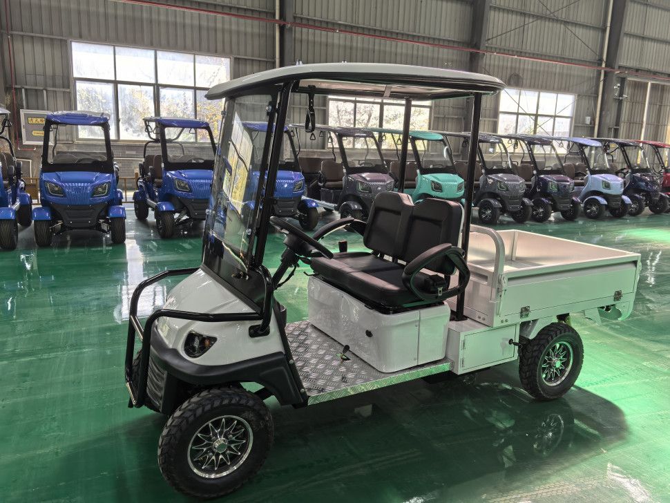 Гольфкар грузовой GreenCamel Сонора A2C New (2+Cargo 60V 2500W)