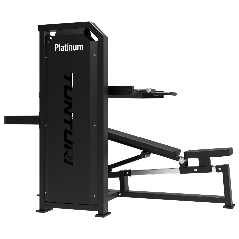 Мультижим Tunturi Platinum V