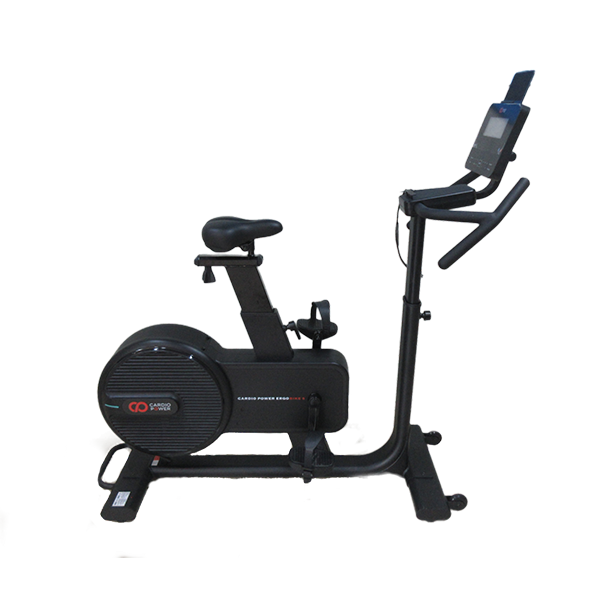 Вертикальный велотренажер CardioPower Ergobike 5