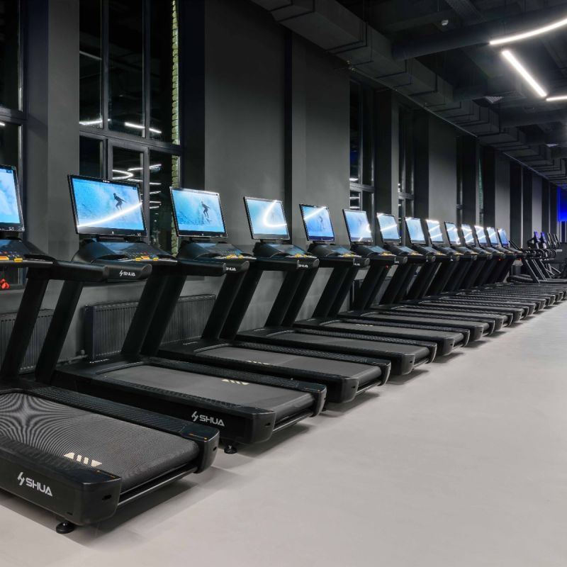 Профессиональная беговая дорожка Shua SH-T9100T