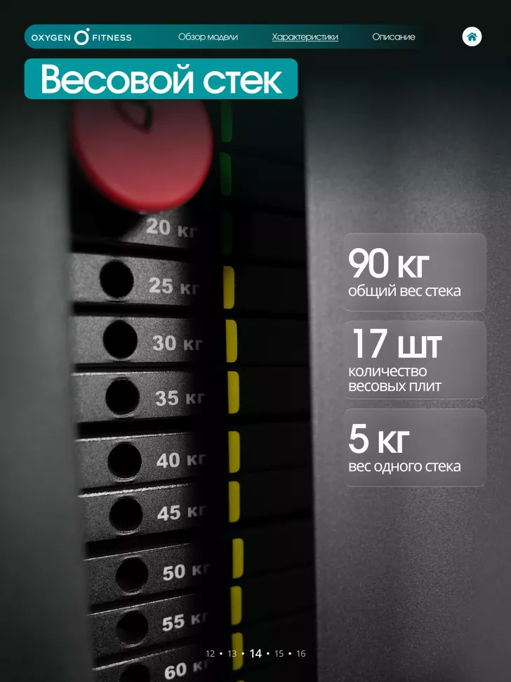 Силовой комплекс полукоммерческий Oxygen Fitness Iron