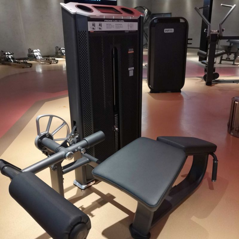 Сгибание ног лежа DHZ E7001
