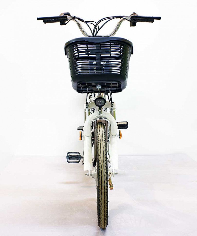 Электровелосипед GreenCamel Транк-20 V2 R20 250W10Ah Алюм, редукторный