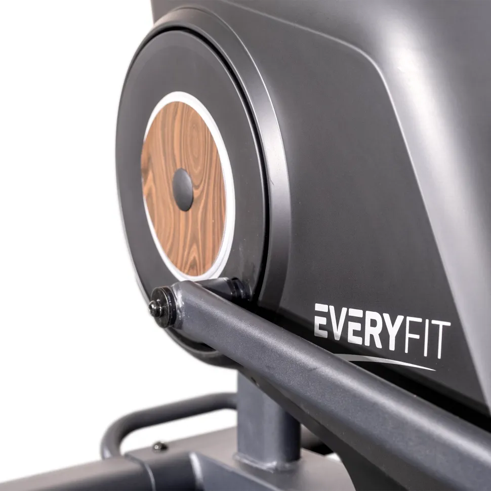 Кардиострайдер c поручнями Everyfit ECS01P