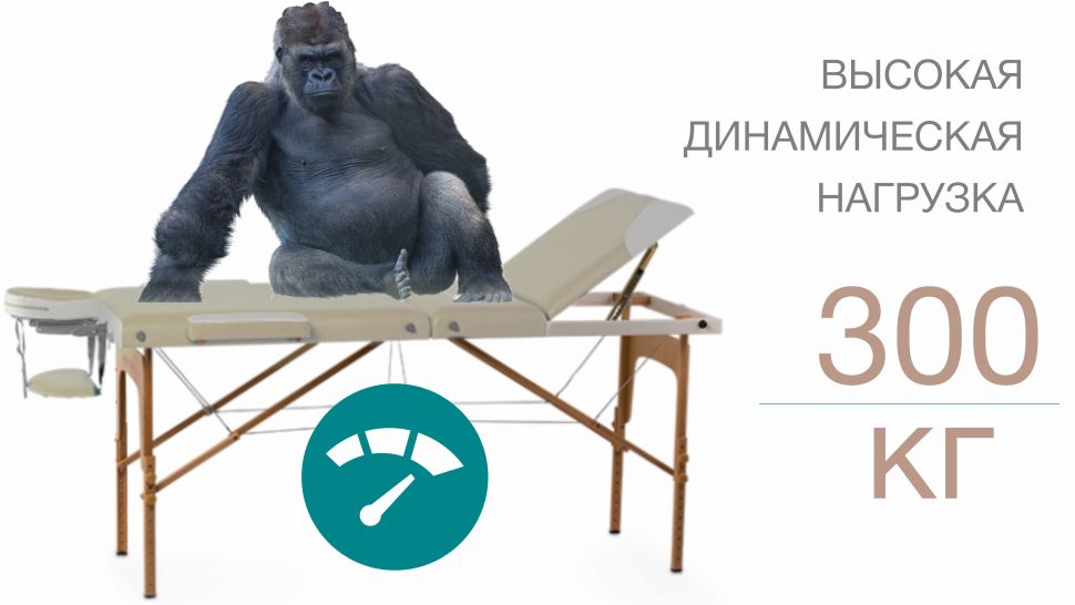 Массажный стол Bodo Leman