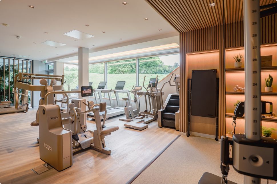 Беговая дорожка TechnoGym Artis Luxury Run