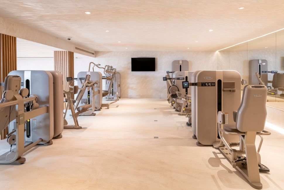 Беговая дорожка TechnoGym Artis Luxury Run