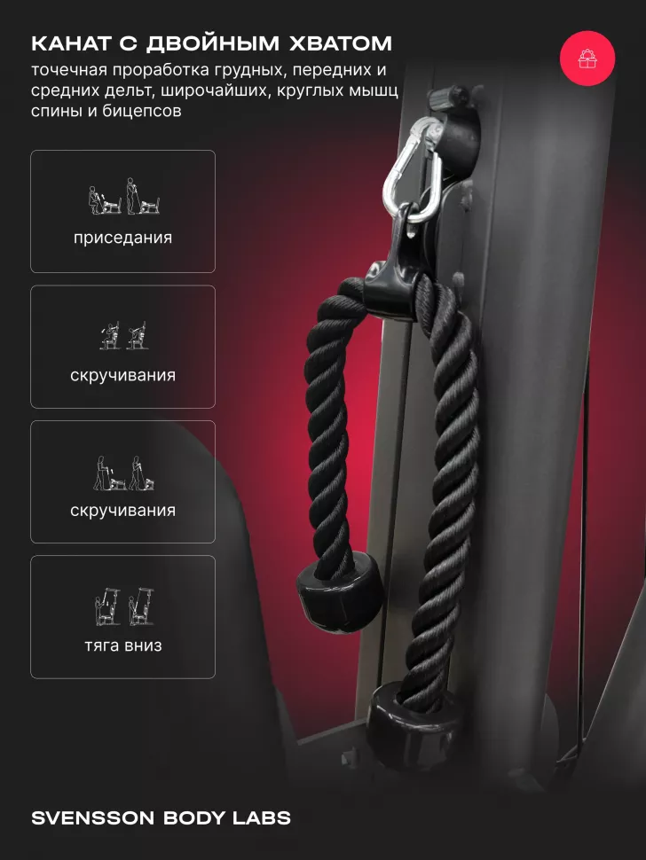 Силовой комплекс полукоммерческий Svensson Body Labs Rigel Pro