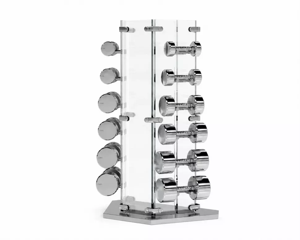 Стойка с гантелями 2,5-25 кг Salusia GLASS-G02