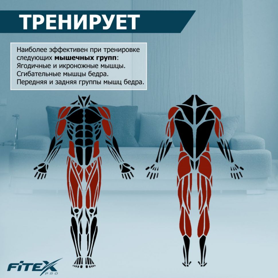Скоростной велотренажер Fitex Pro PREMIER PROF-M