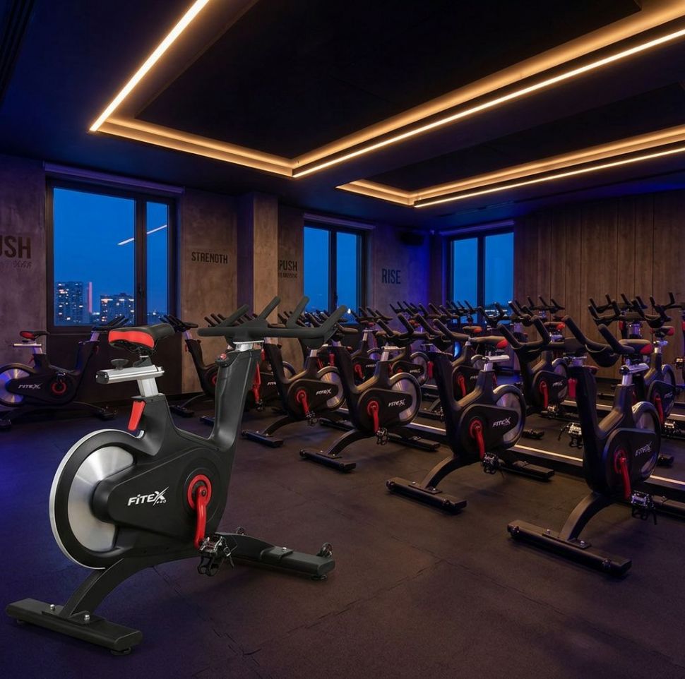 Скоростной велотренажер Fitex Pro PREMIER PROF-M