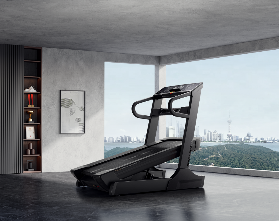 Беговая дорожка Xenjoy XT55