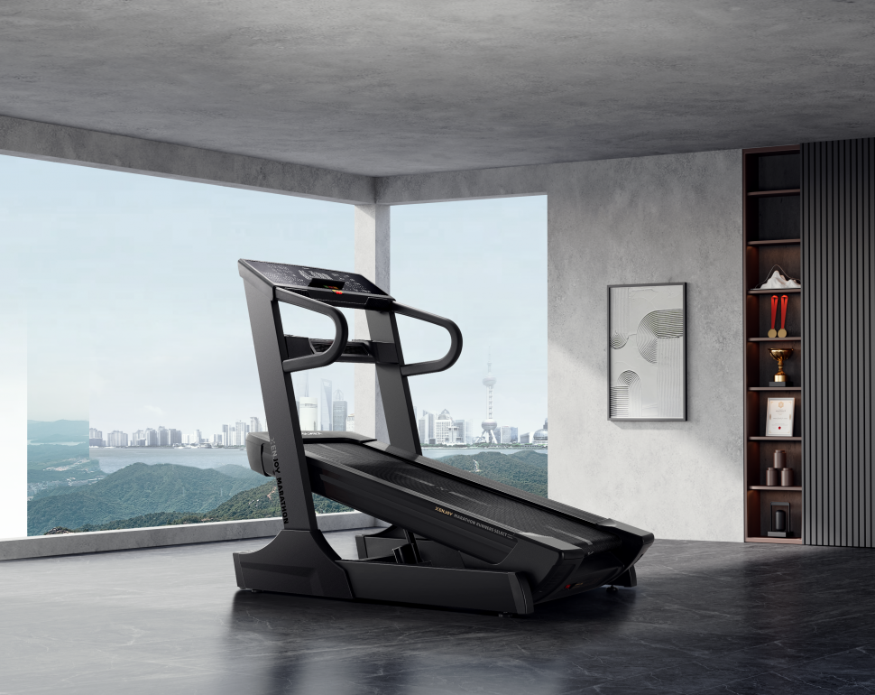 Беговая дорожка Xenjoy XT55