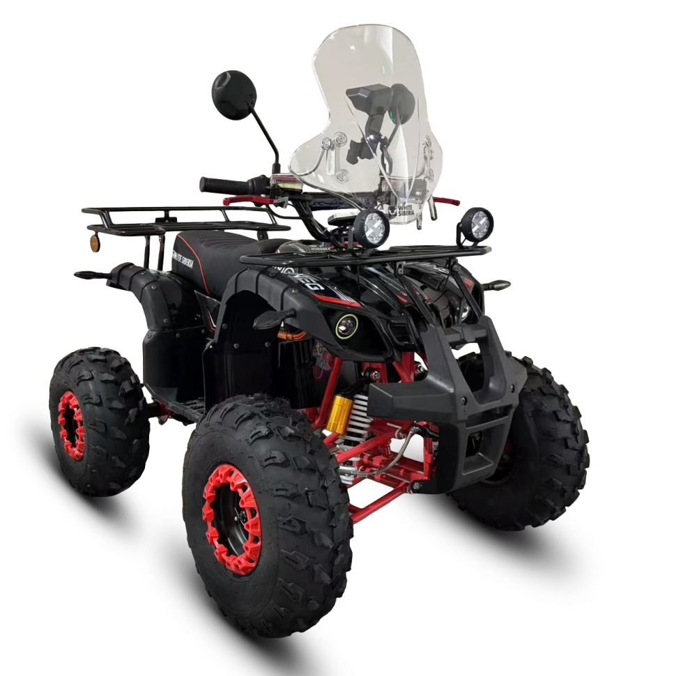 Электроквадроцикл White Siberia Sneg Pro 3000W